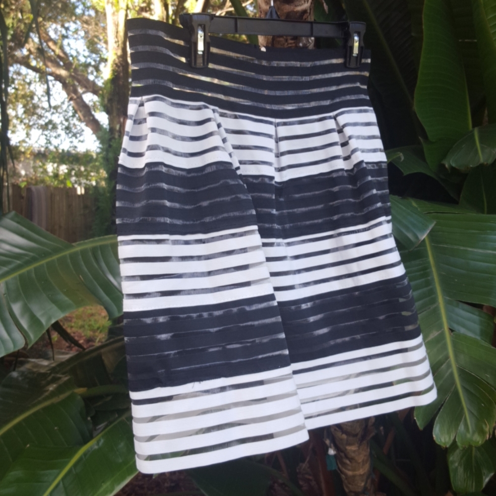 Black and white sheer banded skirt